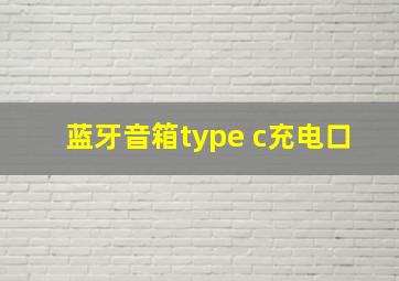 蓝牙音箱type c充电口